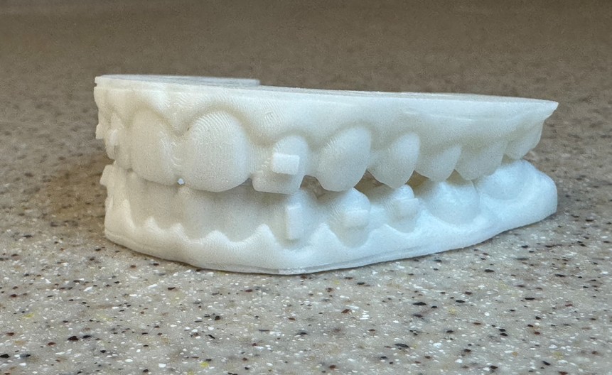 3D Printed Models in Newaygo